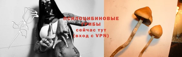 ALPHA PVP Новокубанск
