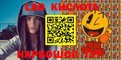 стаф Гатчина