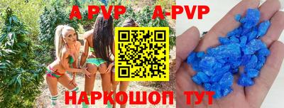 стаф Гатчина
