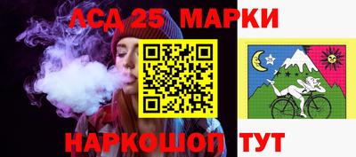 стаф Гатчина