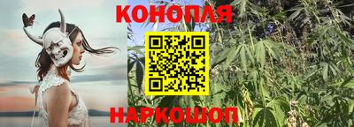 стаф Гатчина