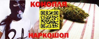 spice Гай