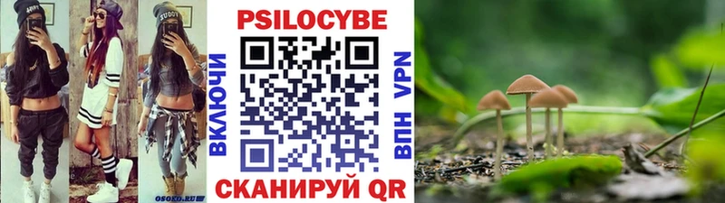 мориарти клад  Югорск  Псилоцибиновые грибы Cubensis  гидра ссылка 