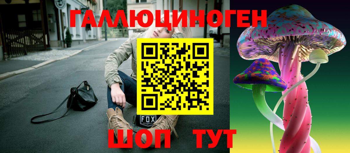 Псилоцибиновые грибы Psilocybe Югорск