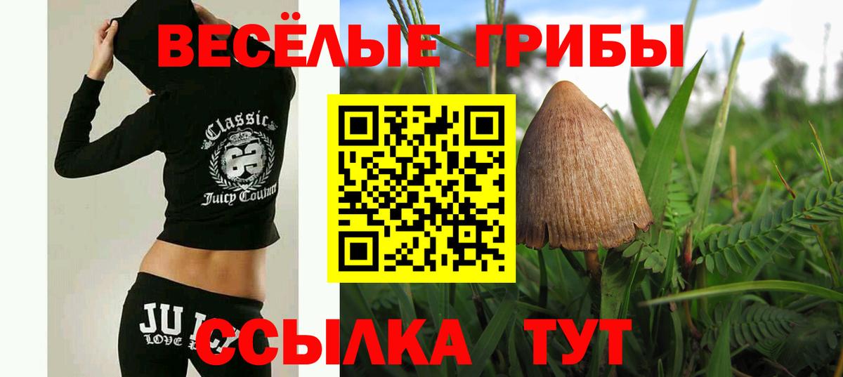 Галлюциногенные грибы Cubensis Югорск